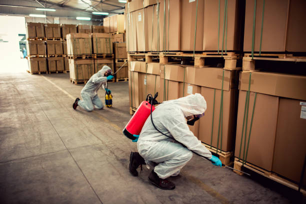 Best Affordable Pest Control Services  in Laramie, WY