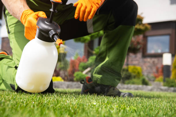 Best Best Pest Control Companies  in Laramie, WY