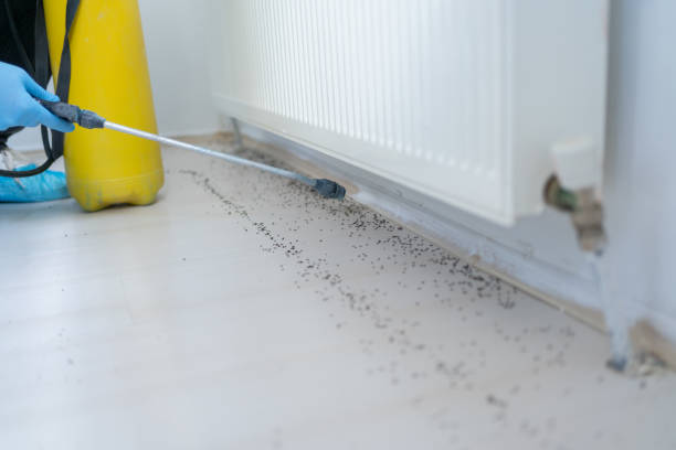  Laramie, WY Pest Control Pros