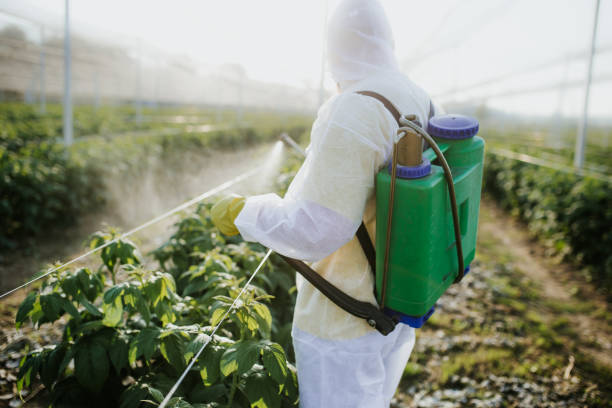 Best Local Pest Control Services  in Laramie, WY